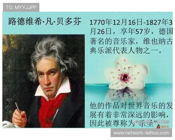 感受巴赫灵魂跃动中的普鲁士奏鸣曲音乐世界探索
